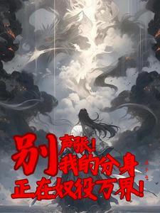 别声张！我的分身正在奴役万界！
