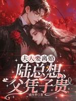 夫人要离婚，陆总想父凭子贵